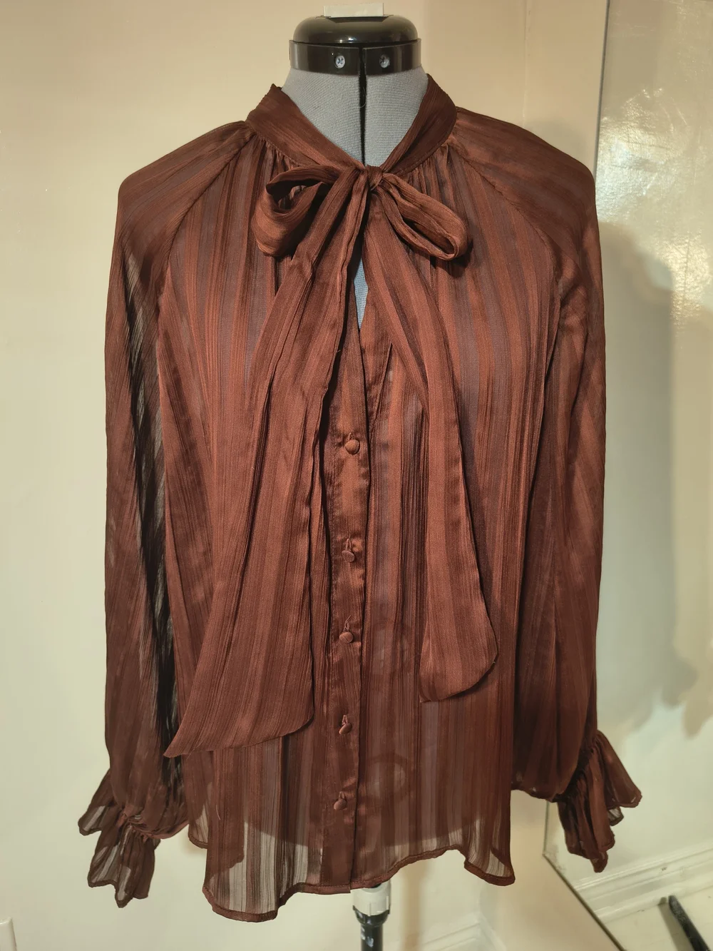 Zara Rust Sheer Long-Sleeve Tie-Neck Blouse - Picture 2 of 10